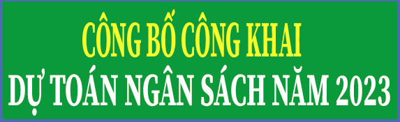 Công khai dự toán