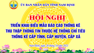 Nam Định tổ chức Hội nghị triển khai Biểu mẫu báo cáo thống kê thu thập thông tin thuộc hệ thống chỉ tiêu thống kê cấp tỉnh, cấp huyện, cấp xã