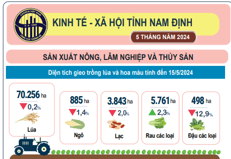 Infographic - Kinh tế - xã hội tỉnh Nam Định 5 tháng năm 2024